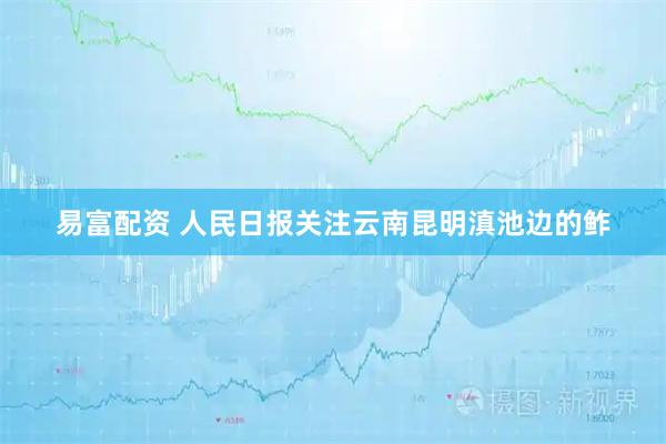 易富配资 人民日报关注云南昆明滇池边的鲊