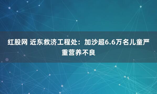 红股网 近东救济工程处：加沙超6.6万名儿童严重营养不良