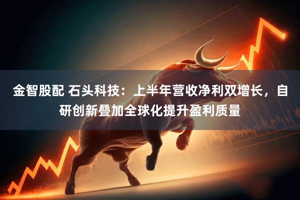 金智股配 石头科技：上半年营收净利双增长，自研创新叠加全球化提升盈利质量